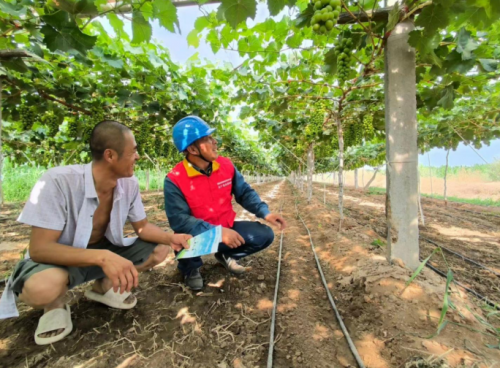 QQ截图20230725155634