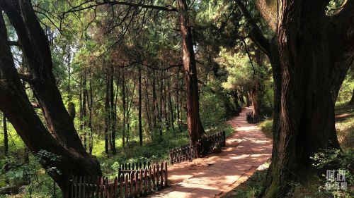 10293691_c21eefe1-d6ce-4b1e-93d9-dc3b98087ead