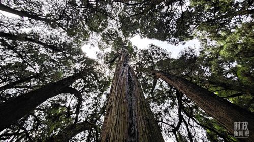 10293691_7d8ff0fa-bda1-4bb0-a1eb-2ca5174a141b