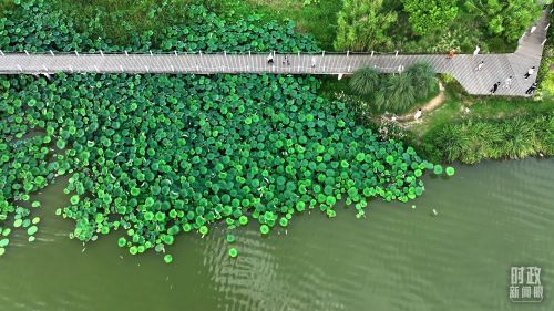 10293691_afa3ce41-703e-421d-bbd7-86edfb4822ef