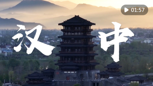 QQ截图20230731100913