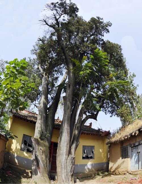 mmexport1690771610122