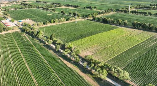 mmexport1690936567892