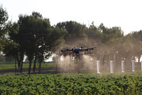 mmexport1690936567892