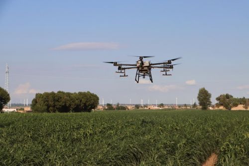 mmexport1690936567892