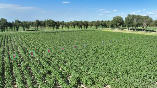 mmexport1690936567892