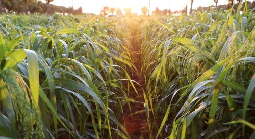 mmexport1690936567892