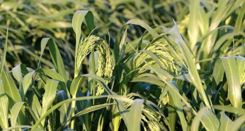 mmexport1690936572426