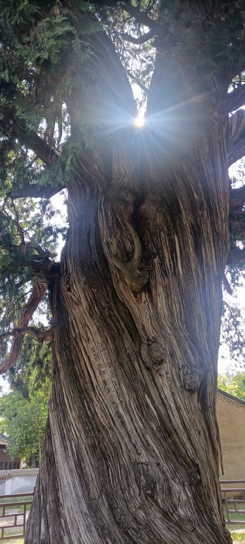 mmexport1690951346690