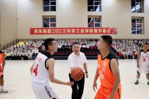 图片11