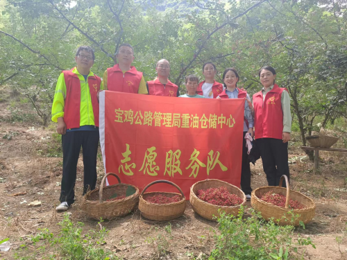 图片3