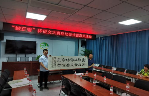 图片8