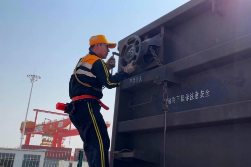 图片3