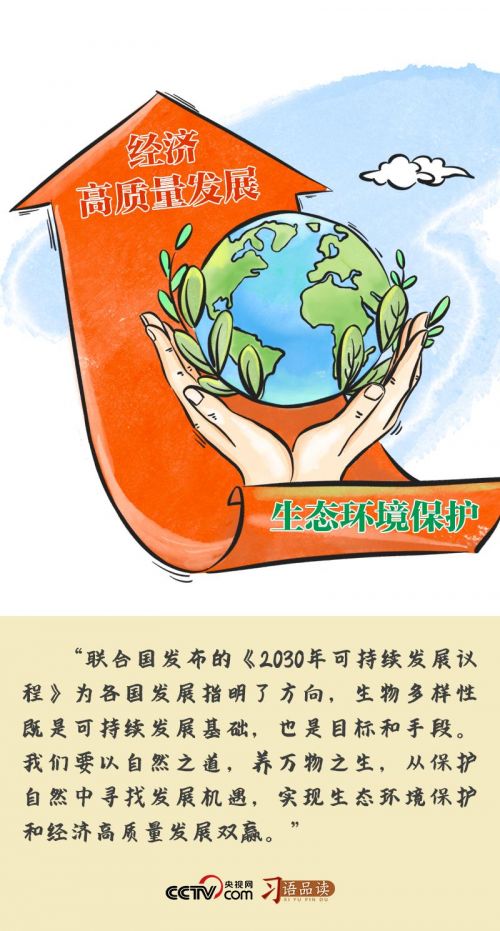 10315483_b0117873-22e5-410b-824d-4e569eb69b34