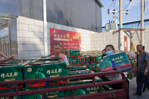 图片3