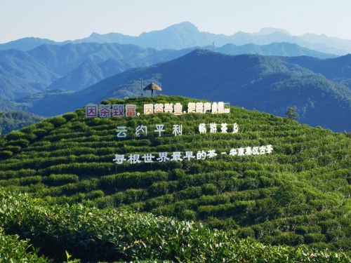 全国生态日丨陕西省生态文明建设促进会在平利举行